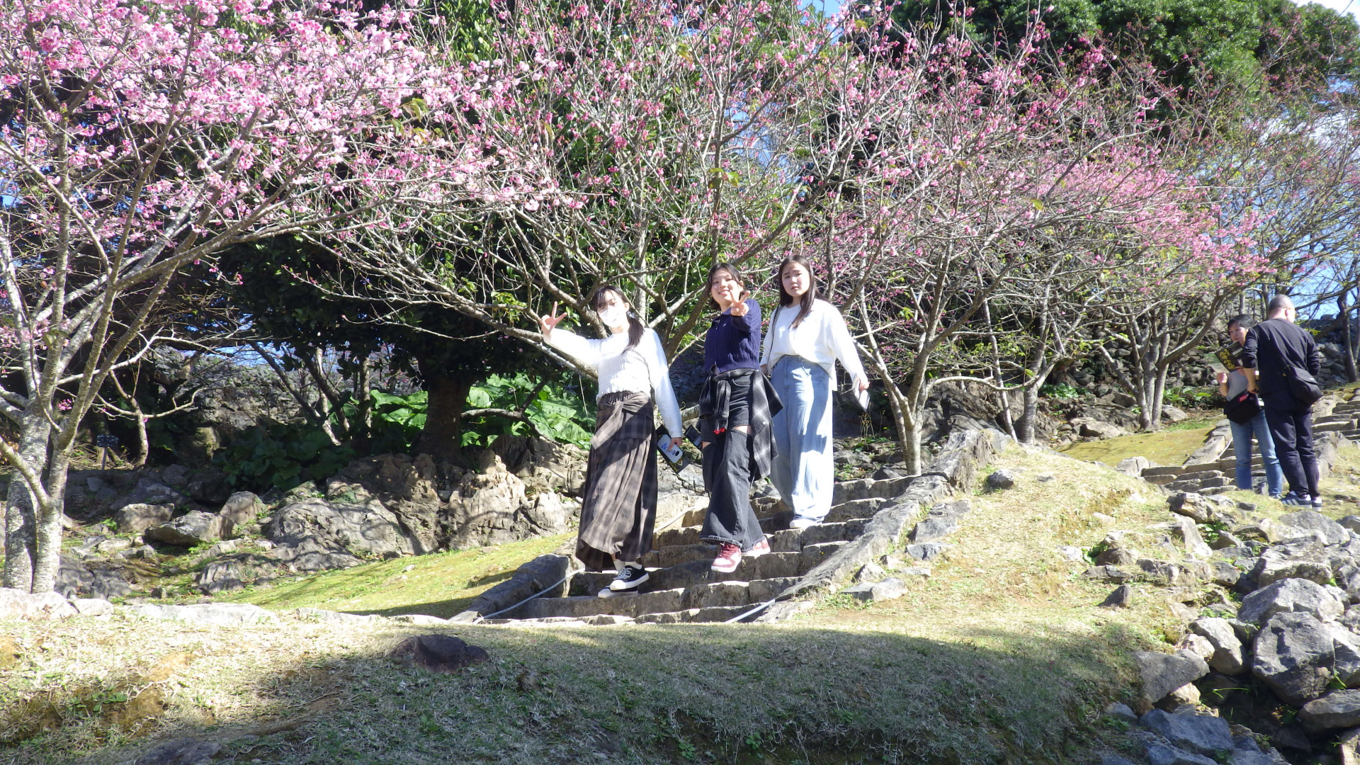 Image - 2026-02-10T165310.772